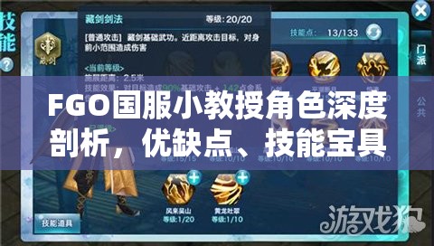 FGO国服小教授角色深度剖析，优缺点、技能宝具评价及资源管理策略