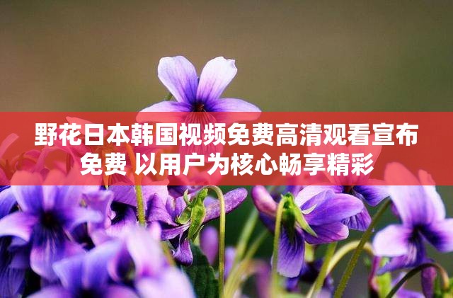 野花日本韩国视频免费高清观看宣布免费 以用户为核心畅享精彩