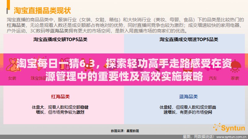 淘宝每日一猜6.3，探索轻功高手走路感受在资源管理中的重要性及高效实施策略
