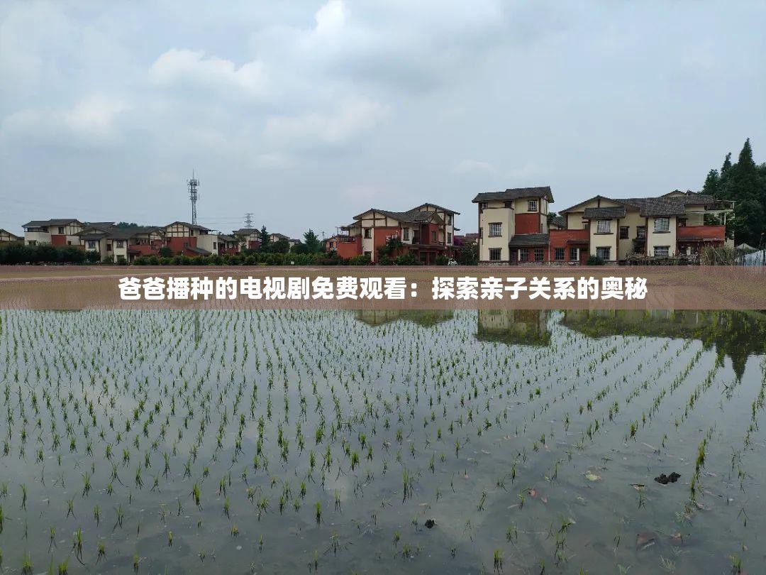 爸爸播种的电视剧免费观看：探索亲子关系的奥秘