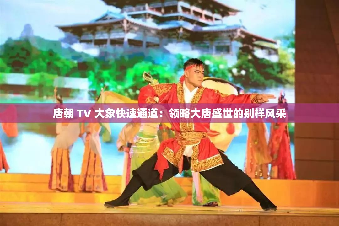 唐朝 TV 大象快速通道：领略大唐盛世的别样风采