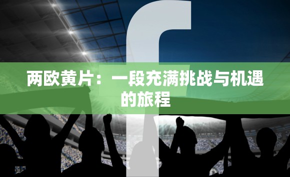 两欧黄片：一段充满挑战与机遇的旅程