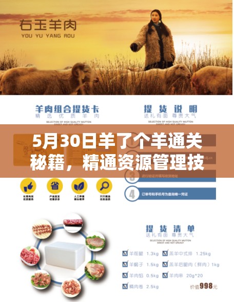 5月30日羊了个羊通关秘籍，精通资源管理技巧，助你轻松跨越重重难关