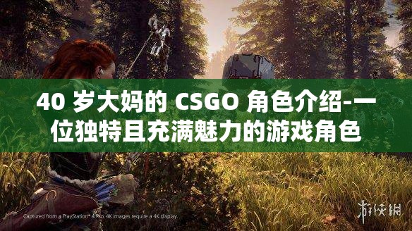 40 岁大妈的 CSGO 角色介绍-一位独特且充满魅力的游戏角色