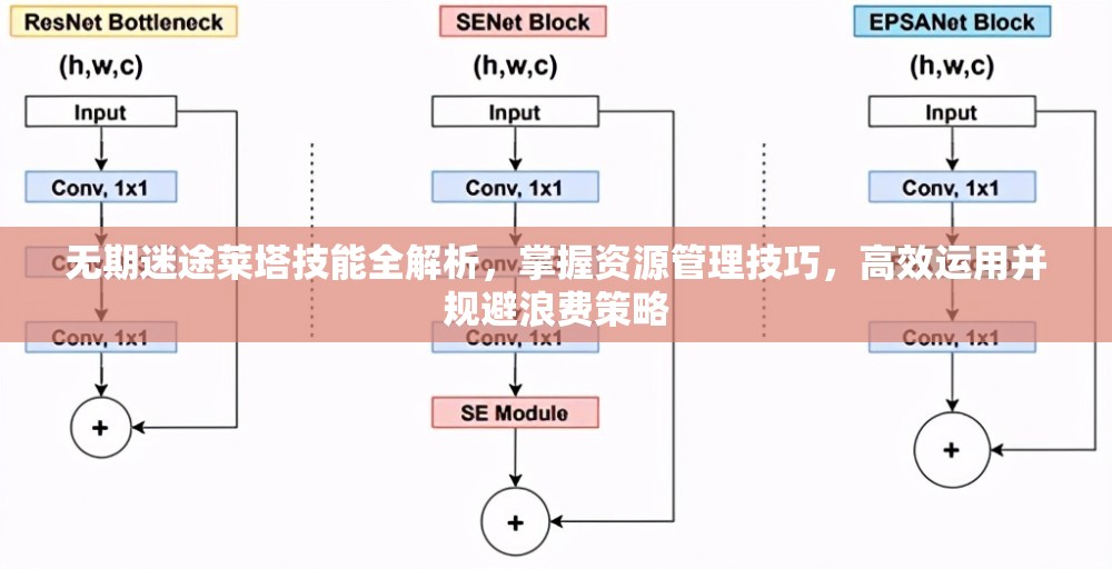 无期迷途莱塔技能全解析，掌握资源管理技巧，高效运用并规避浪费策略
