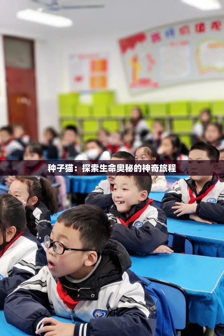 种子猫：探索生命奥秘的神奇旅程