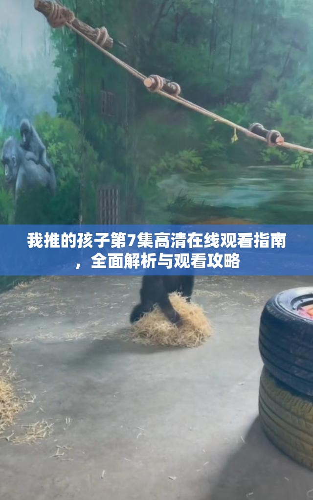 我推的孩子第7集高清在线观看指南，全面解析与观看攻略