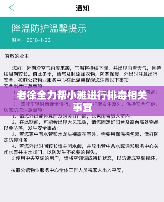 老徐全力帮小雅进行排毒相关事宜