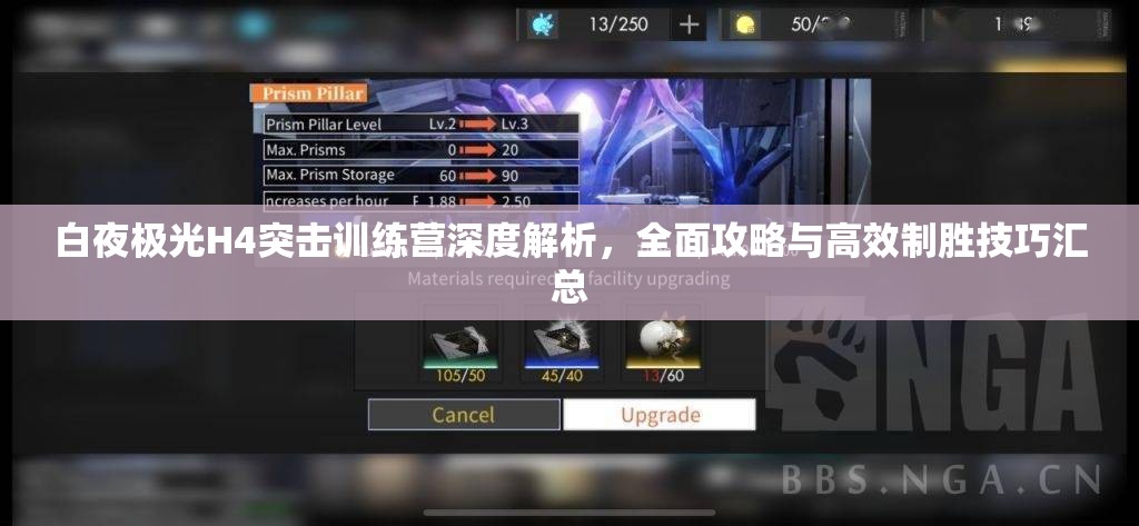 白夜极光H4突击训练营深度解析，全面攻略与高效制胜技巧汇总