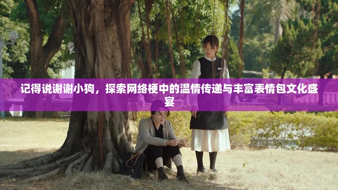 记得说谢谢小狗，探索网络梗中的温情传递与丰富表情包文化盛宴