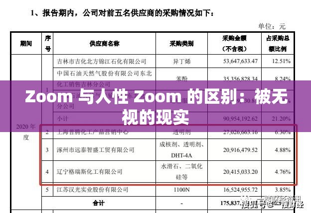 Zoom 与人性 Zoom 的区别：被无视的现实