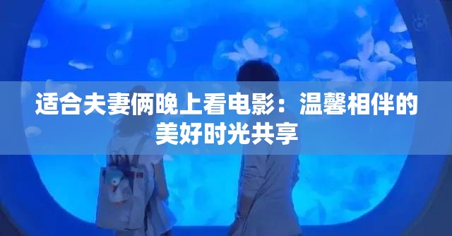 适合夫妻俩晚上看电影：温馨相伴的美好时光共享