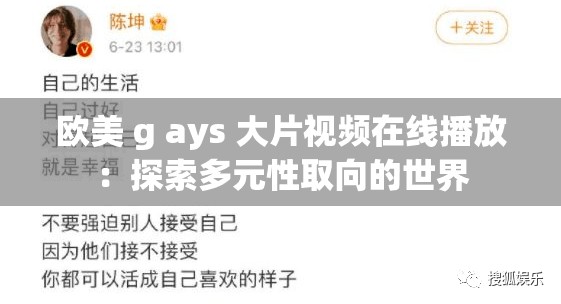 欧美 g ays 大片视频在线播放：探索多元性取向的世界