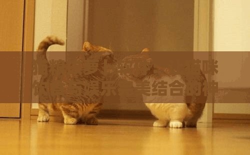 猫粮拔萝卜软件：让猫咪饮食与娱乐完美结合的神器