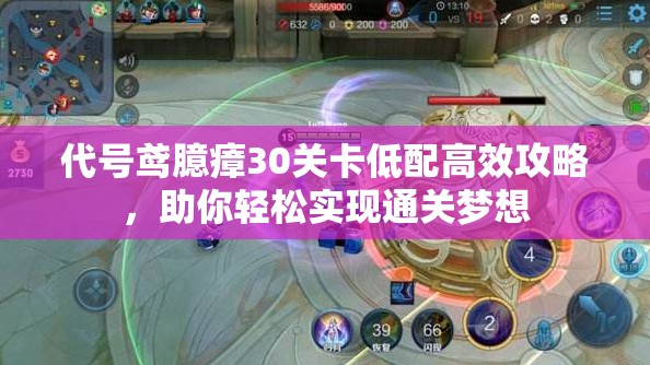 代号鸢臆瘴30关卡低配高效攻略，助你轻松实现通关梦想
