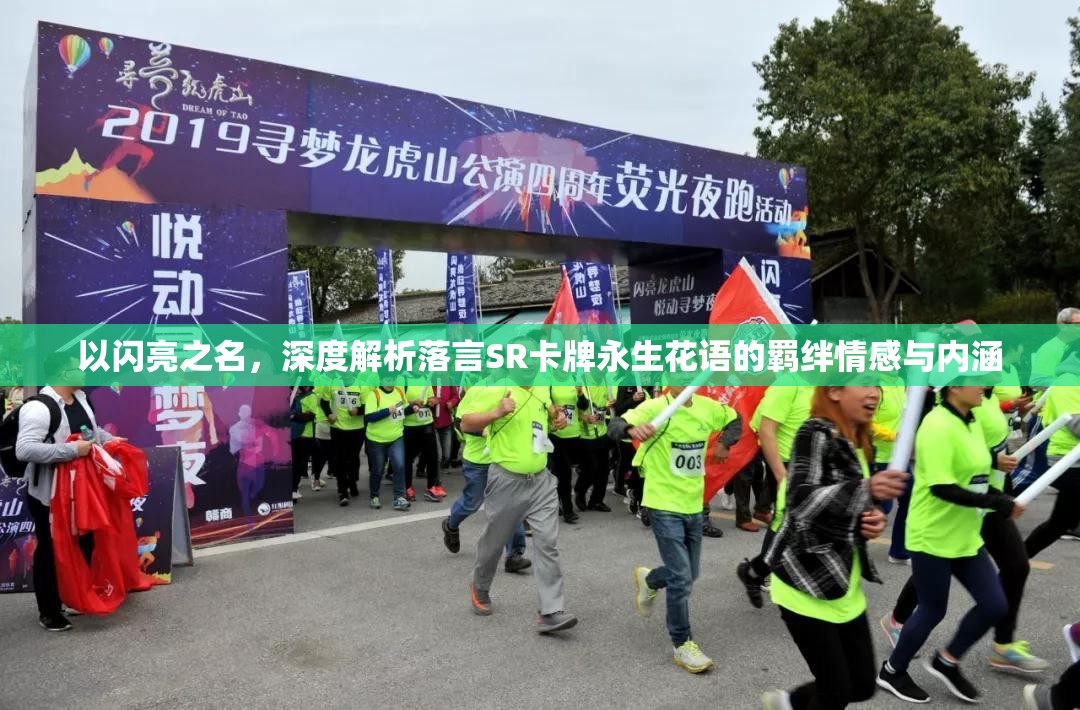 以闪亮之名，深度解析落言SR卡牌永生花语的羁绊情感与内涵