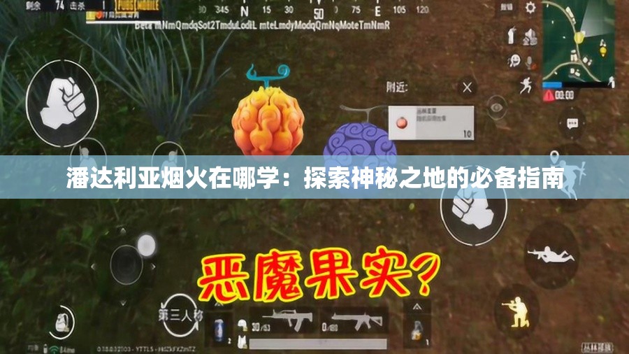 潘达利亚烟火在哪学：探索神秘之地的必备指南
