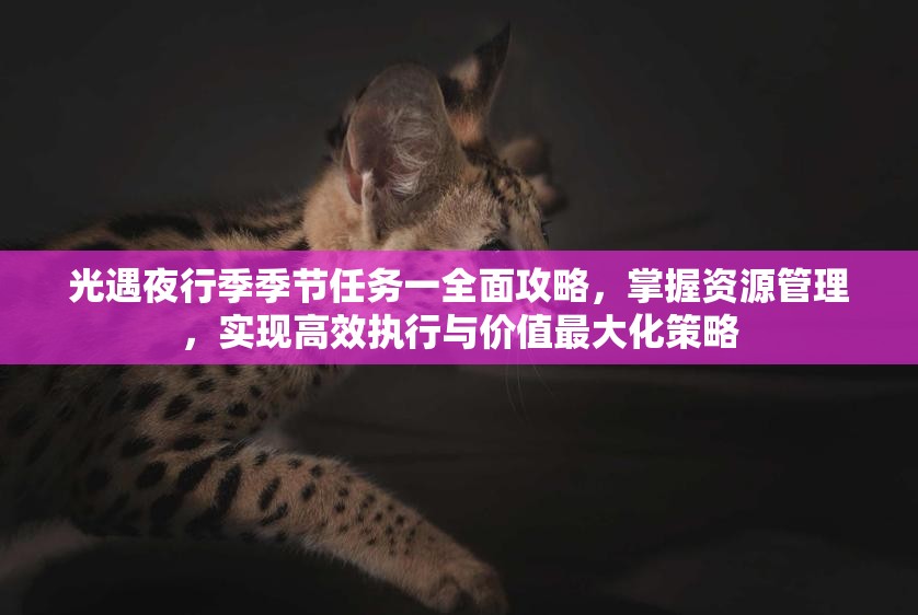 光遇夜行季季节任务一全面攻略，掌握资源管理，实现高效执行与价值最大化策略