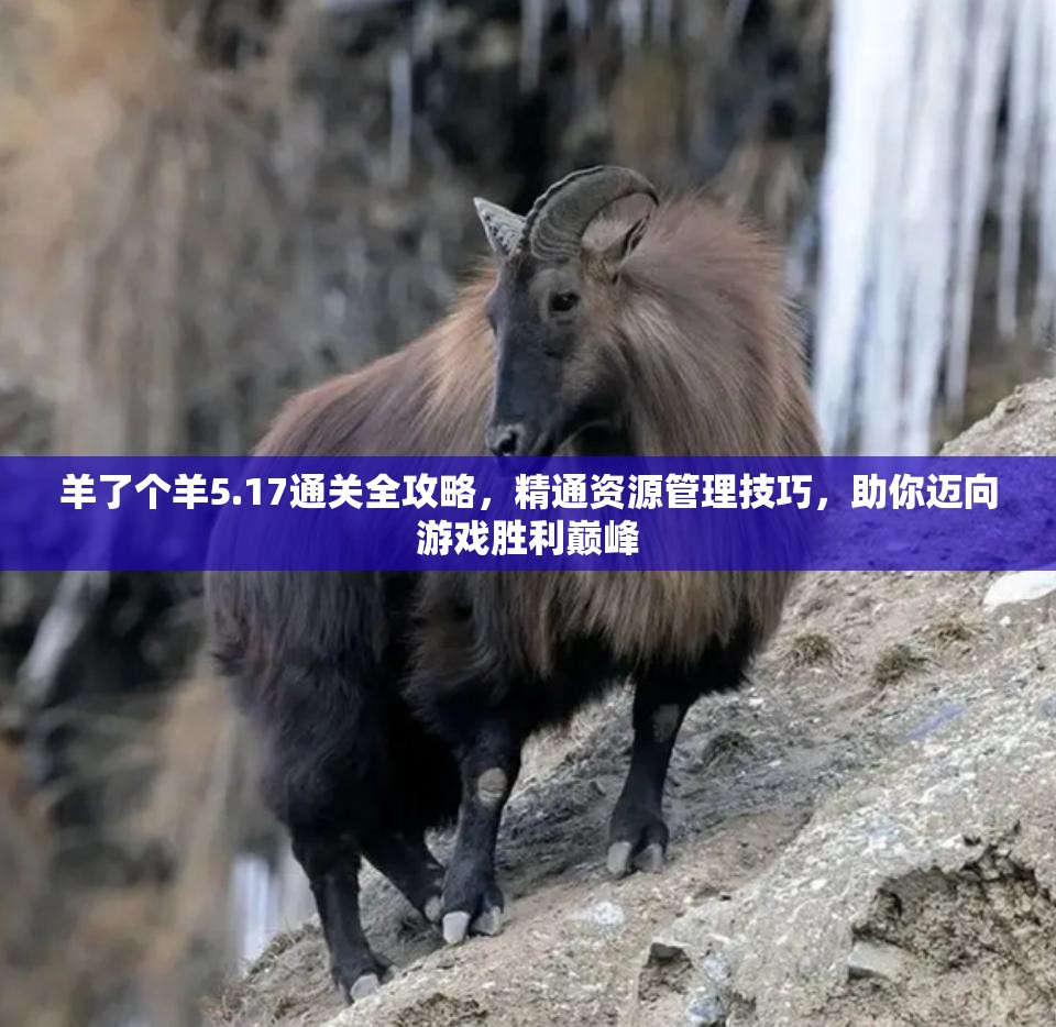 羊了个羊5.17通关全攻略，精通资源管理技巧，助你迈向游戏胜利巅峰