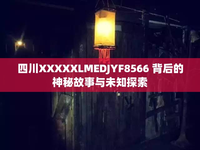 四川XXXXXLMEDJYF8566 背后的神秘故事与未知探索