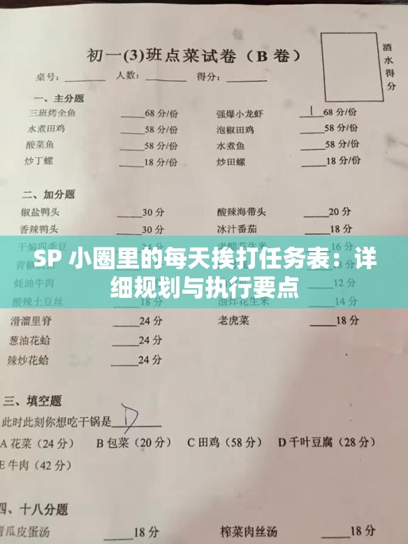 SP 小圈里的每天挨打任务表：详细规划与执行要点