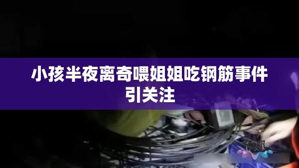 小孩半夜离奇喂姐姐吃钢筋事件引关注