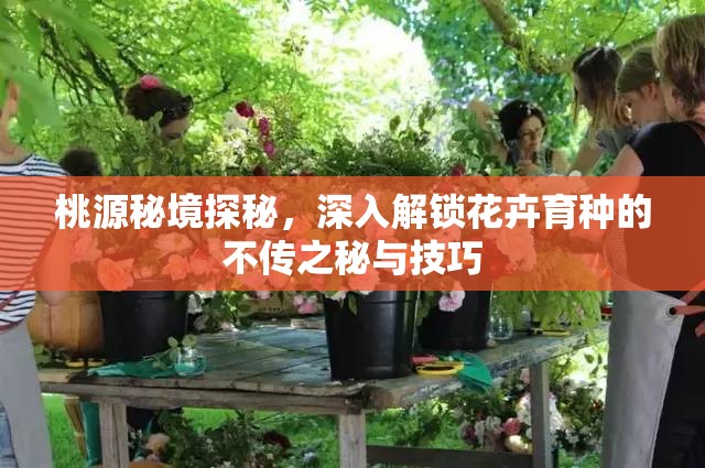 桃源秘境探秘，深入解锁花卉育种的不传之秘与技巧