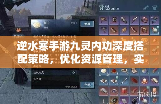 逆水寒手游九灵内功深度搭配策略，优化资源管理，实现高效利用并规避浪费