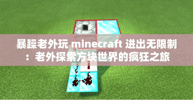 暴躁老外玩 minecraft 进出无限制：老外探索方块世界的疯狂之旅