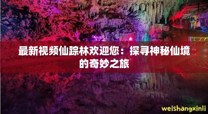最新视频仙踪林欢迎您：探寻神秘仙境的奇妙之旅