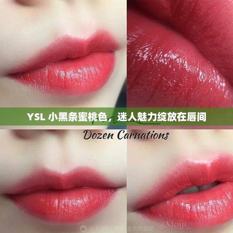 YSL 小黑条蜜桃色，迷人魅力绽放在唇间