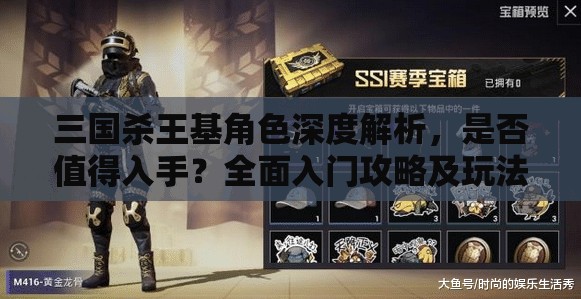 三国杀王基角色深度解析，是否值得入手？全面入门攻略及玩法指南！