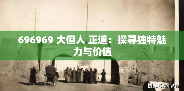 696969 大但人 正道：探寻独特魅力与价值