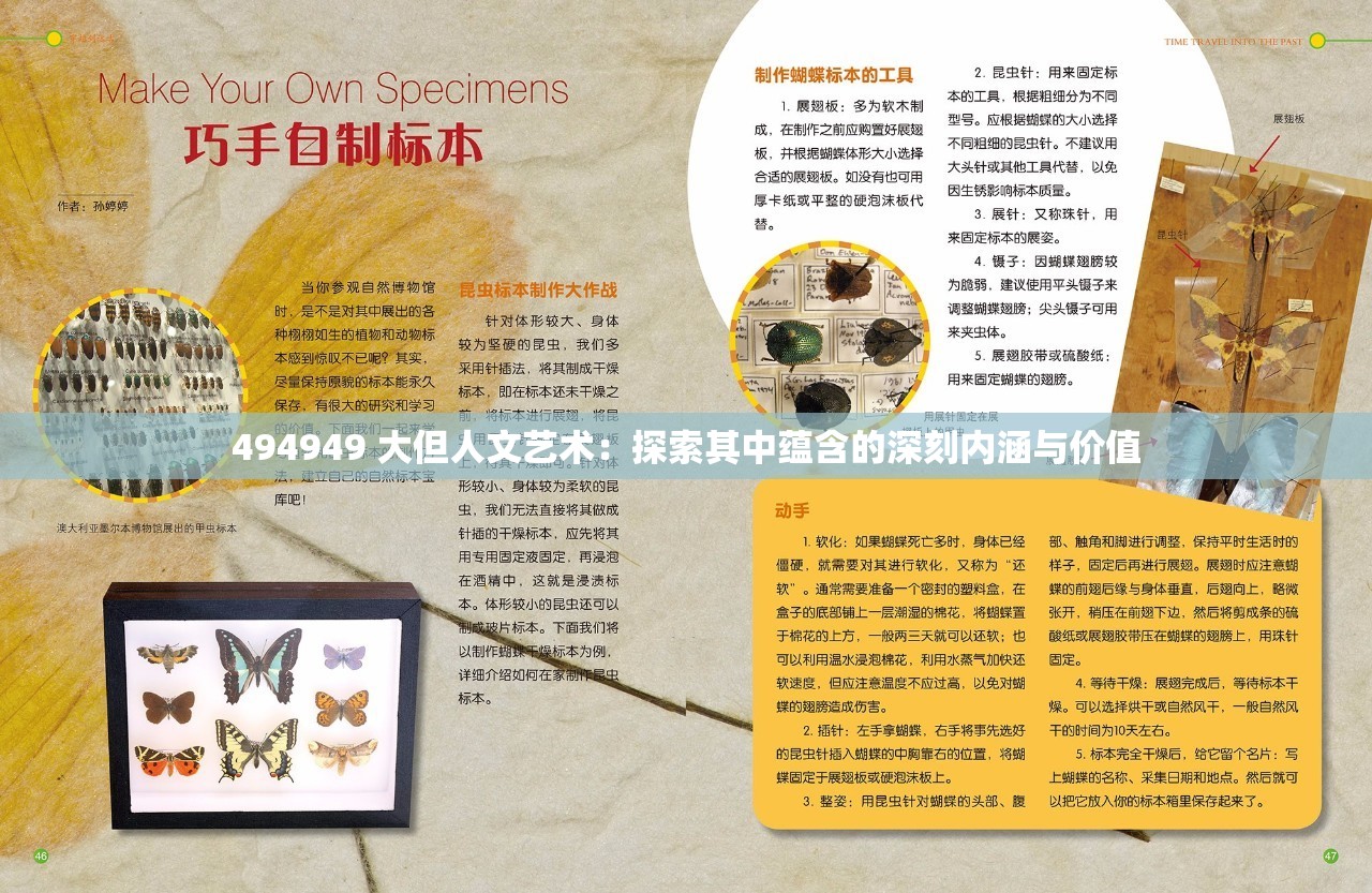 494949 大但人文艺术：探索其中蕴含的深刻内涵与价值