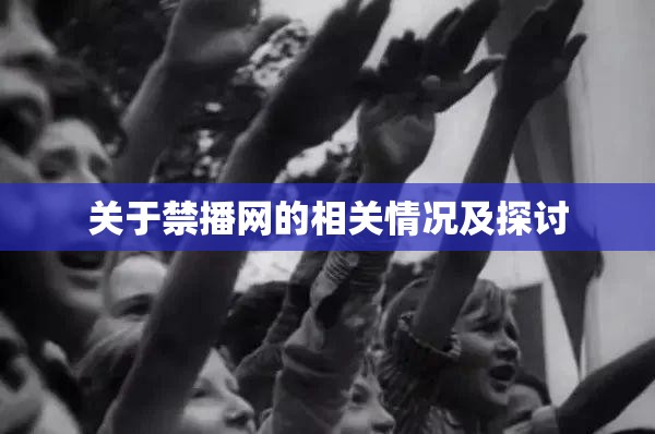关于禁播网的相关情况及探讨