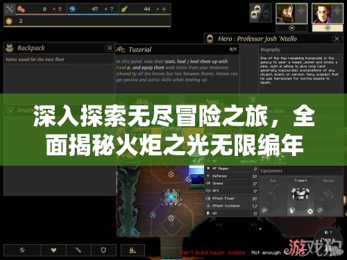 深入探索无尽冒险之旅，全面揭秘火炬之光无限编年史官方网站