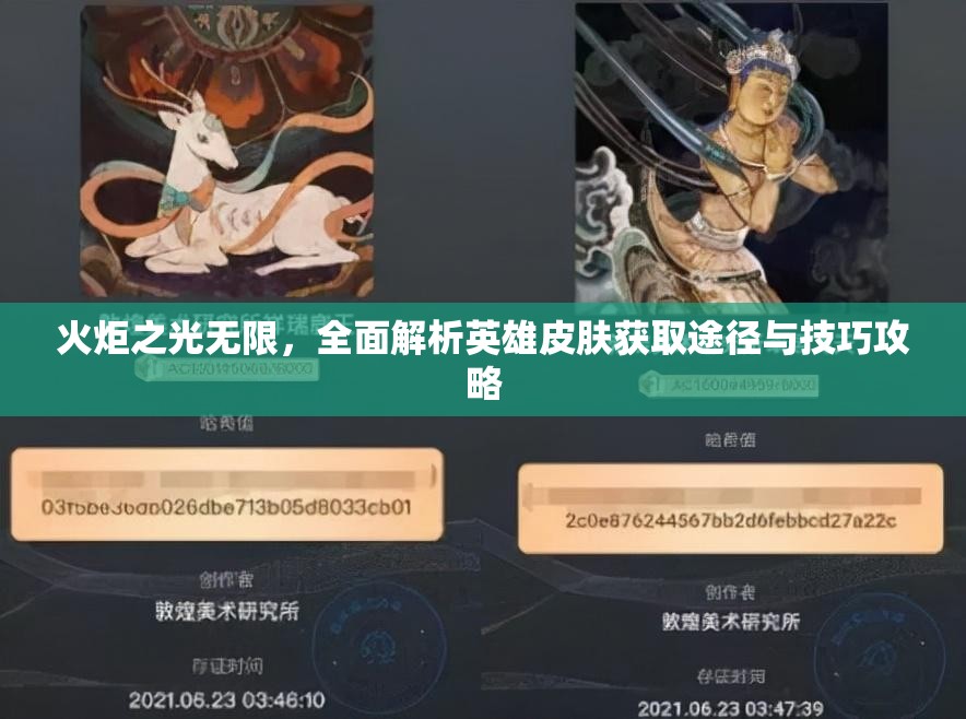 火炬之光无限，全面解析英雄皮肤获取途径与技巧攻略