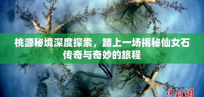 桃源秘境深度探索，踏上一场揭秘仙女石传奇与奇妙的旅程