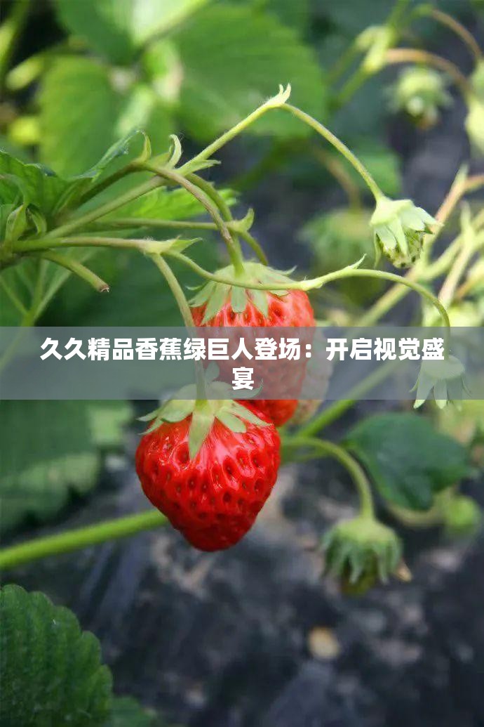 久久精品香蕉绿巨人登场：开启视觉盛宴
