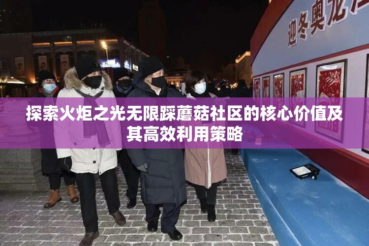 探索火炬之光无限踩蘑菇社区的核心价值及其高效利用策略