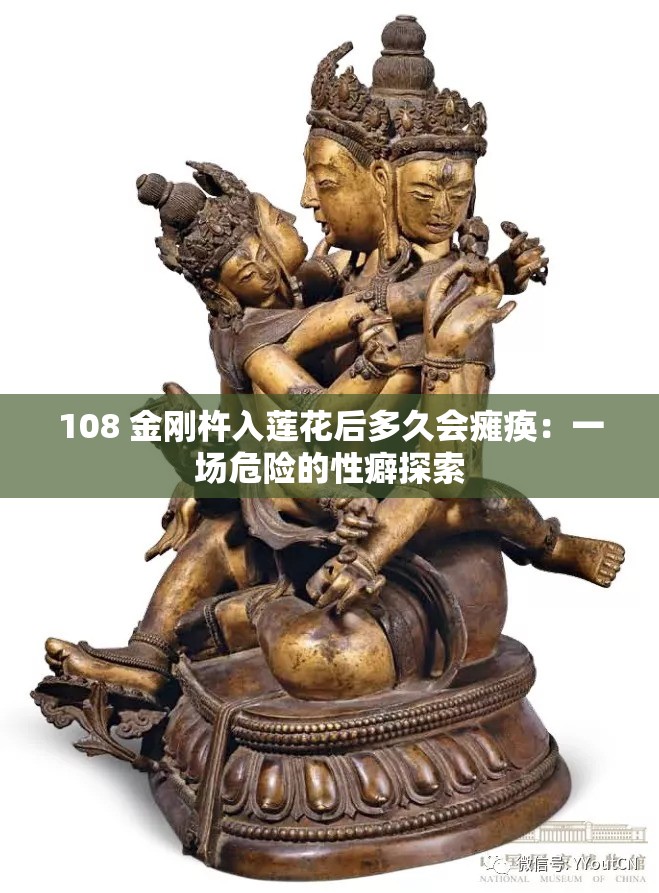 108 金刚杵入莲花后多久会瘫痪：一场危险的性癖探索