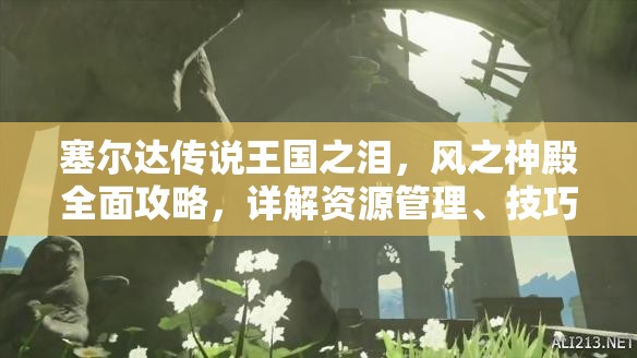 塞尔达传说王国之泪，风之神殿全面攻略，详解资源管理、技巧运用与价值最大化