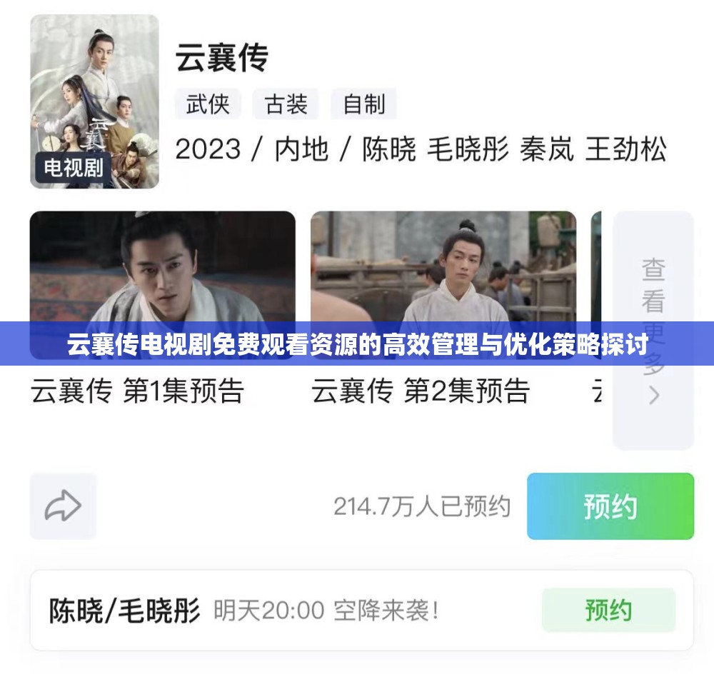 云襄传电视剧免费观看资源的高效管理与优化策略探讨