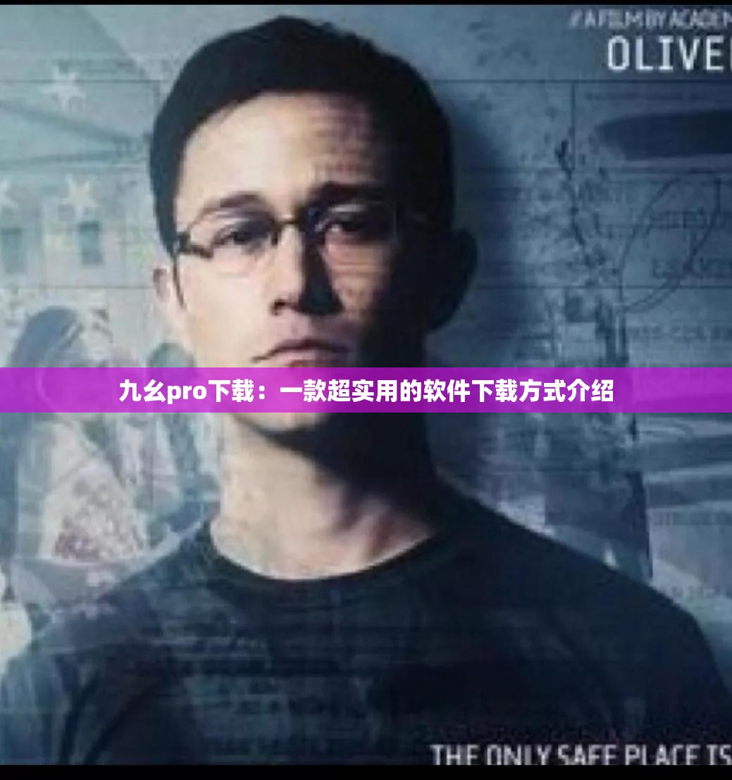 九幺pro下载：一款超实用的软件下载方式介绍