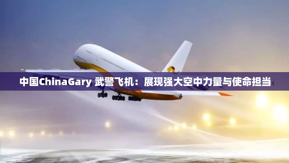 中国ChinaGary 武警飞机：展现强大空中力量与使命担当