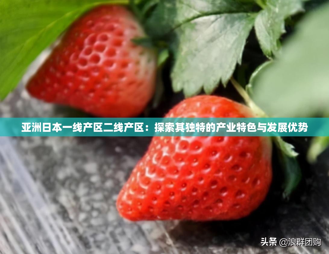 亚洲日本一线产区二线产区：探索其独特的产业特色与发展优势