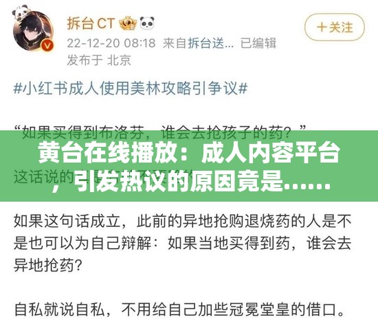 黄台在线播放：成人内容平台，引发热议的原因竟是……