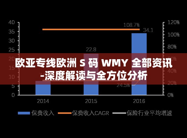 欧亚专线欧洲 S 码 WMY 全部资讯-深度解读与全方位分析