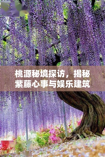 桃源秘境探访，揭秘紫藤心事与娱乐建筑图鉴的奇妙世界