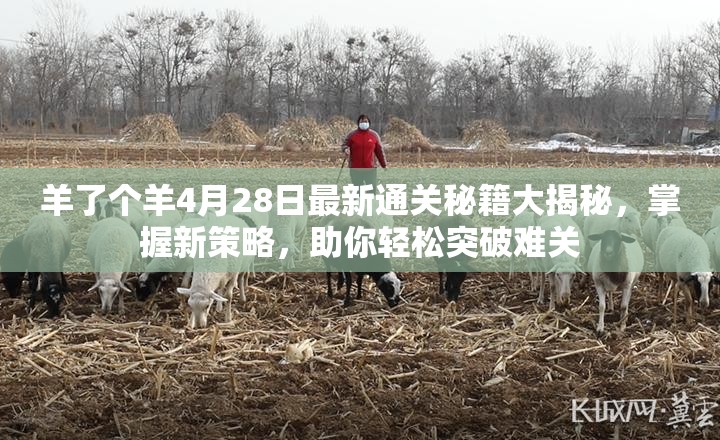 羊了个羊4月28日最新通关秘籍大揭秘，掌握新策略，助你轻松突破难关
